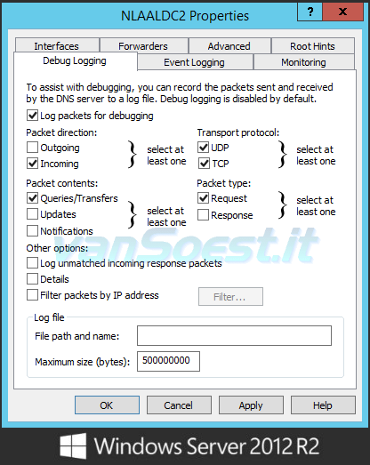 Windows 2012 r2 DNS server eigenschappen dialoog dat de vereiste Debug Logging opties toont.