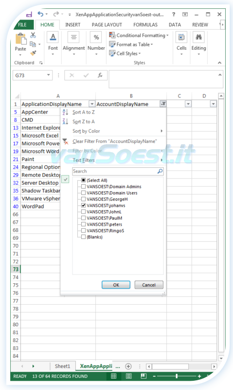 Microsoft Office Excel 2013 Auto Filter example.